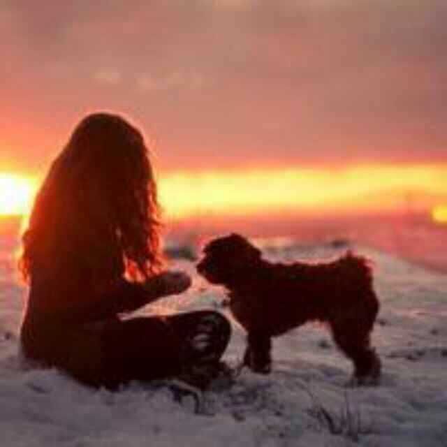 肯尼亚选手包揽上海国际10公里精英赛男女组冠军|m6最新官网(图2) 米乐M6官方入口