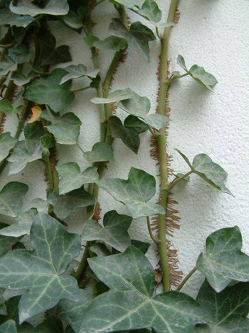 米乐M6官方入口