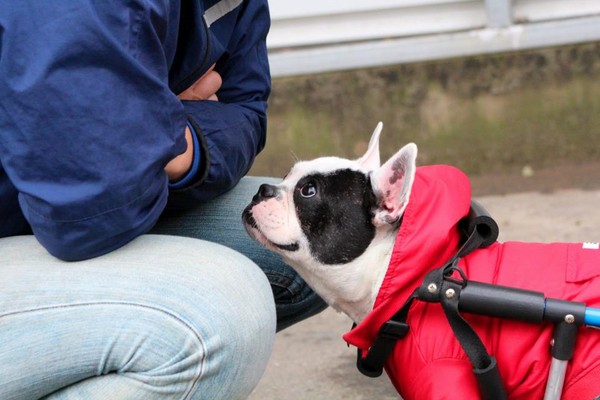 【米乐M6】史上第二位阿根廷裁判将执法世界杯决赛,前一个罚下了齐达内(图2) m6最新官网