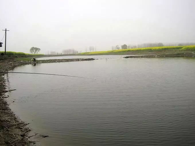 韩国体操萝莉孙妍在公开告白宁泽涛:好帅 很想恋爱‘米乐M6’(图2) 米乐M6