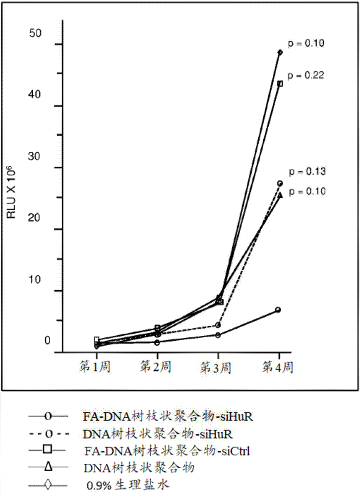 日职联前瞻:鸟栖沙岩vs鹿岛鹿角-米乐M6官方入口(图1) m6最新官网