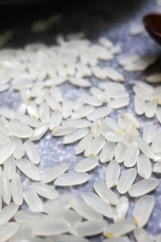 6.8折!乐清新体育馆这家简餐店居然用这样的米做饭!|米乐M6官方入口(图9)
6.8折!乐清新体育馆这家简餐店居然用这样的米做饭!|米乐M6官方入口(图9)