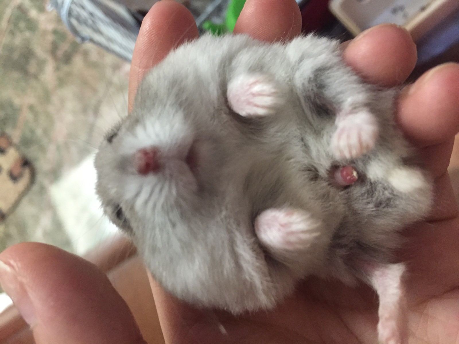 米乐M6官方入口