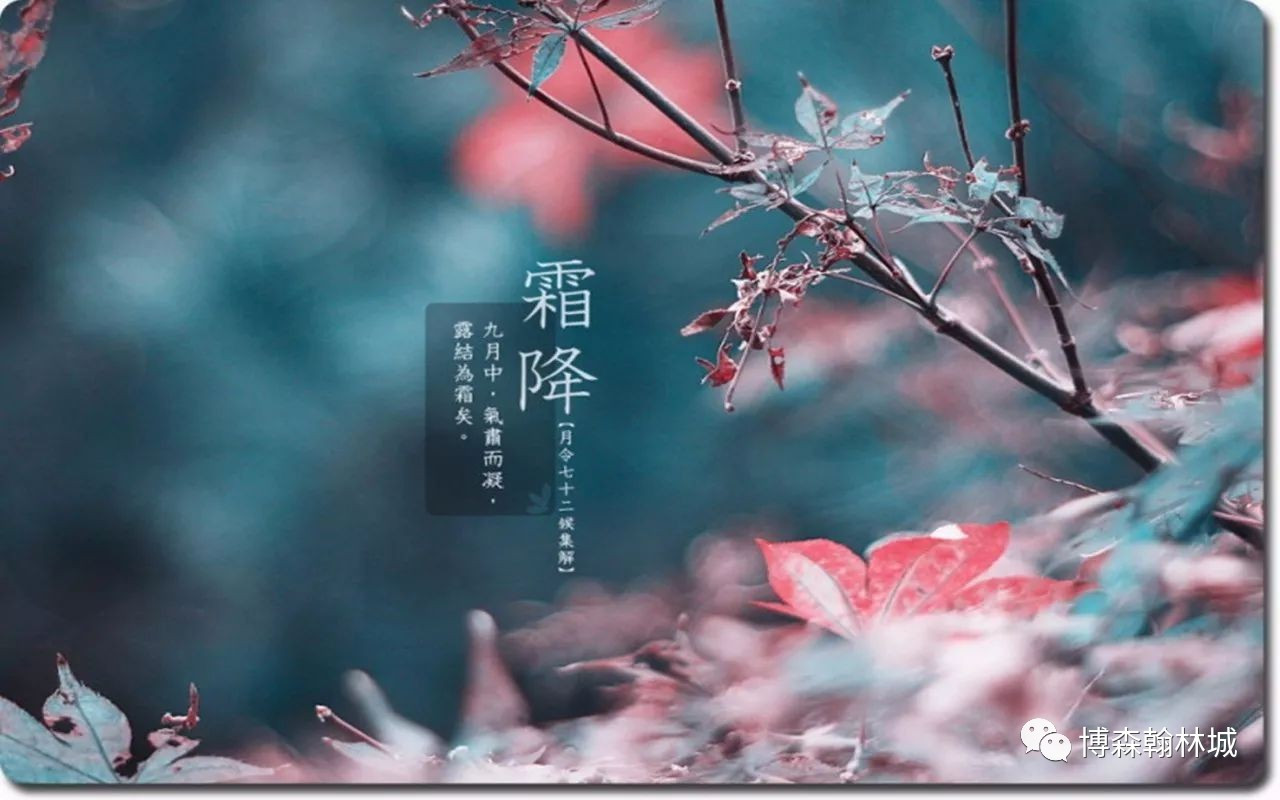 米乐M6:物流市场乱象亟待整治(图3) m6最新官网