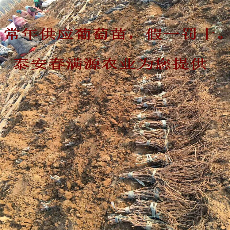 米乐M6官方入口