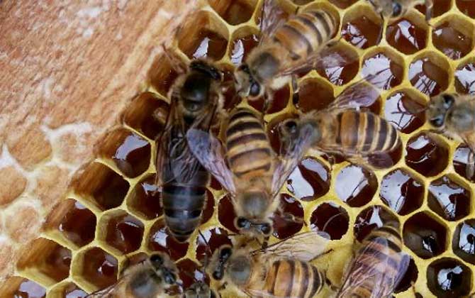 米乐M6官方入口