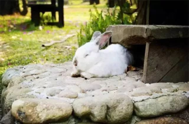 米乐M6官方入口