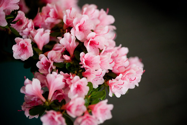 米乐M6官方入口