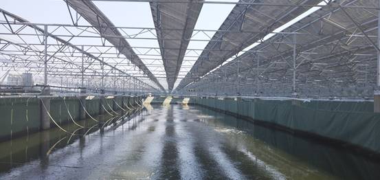 米乐M6_最新消息,教育行业平均人为9.7万,排名第七,网友:我拖了后腿(图2) 米乐M6官方入口