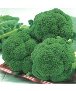 米乐M6官方入口