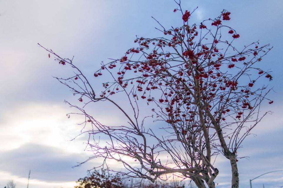 ‘m6最新官网’
当女生说出这句话的时候 就是你没戏了 赶早放手 这句话很重要(图2)
